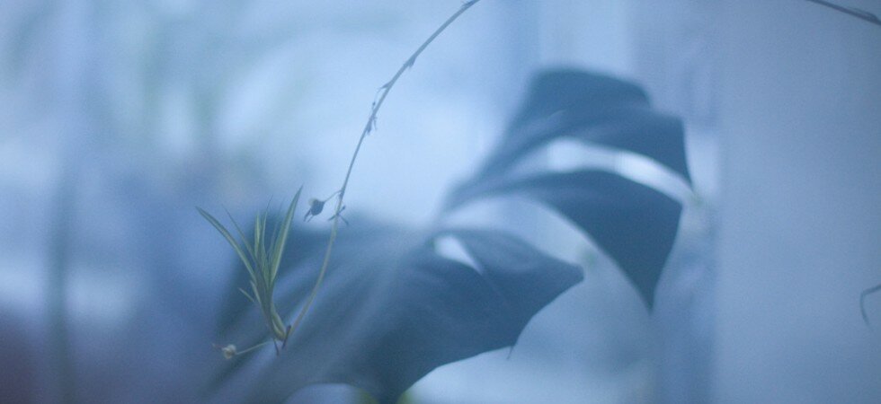 Sanesi_Portfolio_03 Sanesi_Portfolio_03